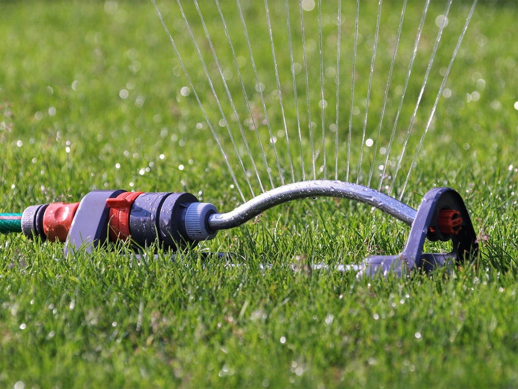 Watering your lawn and garden