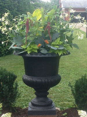 Picture of large, cast iron planter.